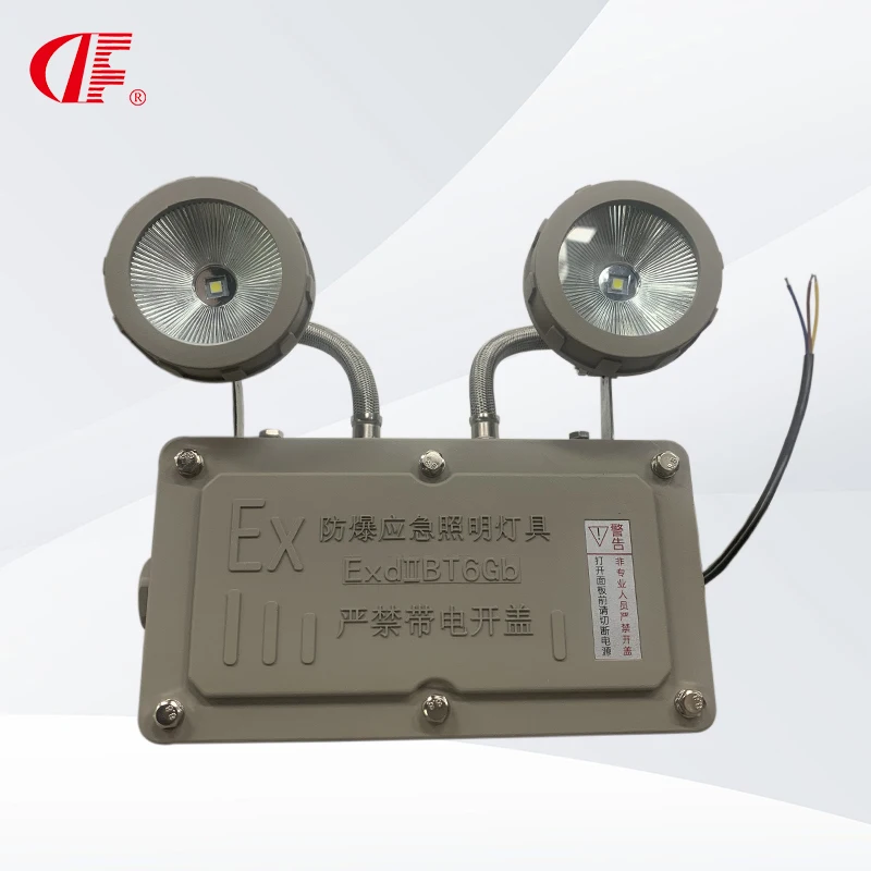 Atex 2X3W Explosion Proof Emergency Light LED Led Lighting Products White Ni-cd DF 80 Cold Rolled Steel Sheet Exit Light Sign