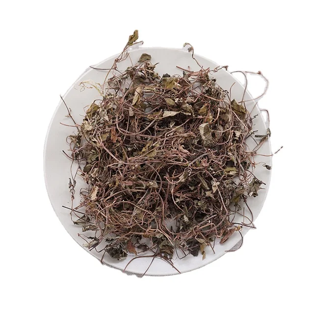 Горячая оптовая продажа высокое качество Lysimachia christinae Primulaceae