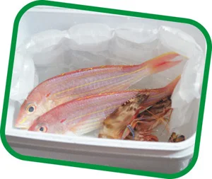 Customization  Techni Cooler Ice Sheet Reusable seafood Dry Ice Packs