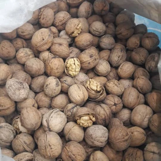 walnut Persian walnut tin skin kernel nuts white kernel