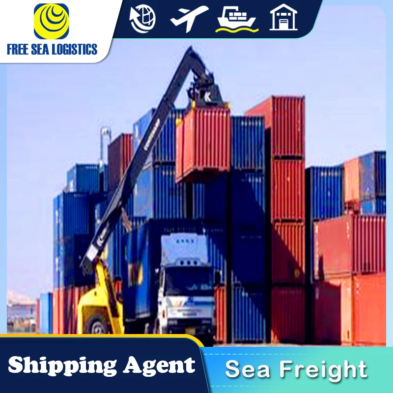 Cheap Fast DDP DDU FCL LCL sea Shipping freight forwarder from China to UAE Oman Saudi Arabia by sea shipping