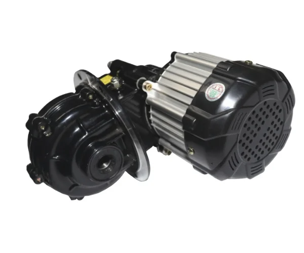 Dc 24v motor 1000w Permanent Magnetic brushless dc differential speed motor fit electric vehicle