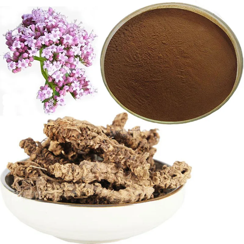 Valeriana officinalis Valerian Vetiver radix valerianae extract Valeric acid powder