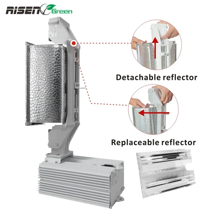 US Warehouse  In Stock Risen Top Seller 2021 Gavita 1000w Double Ended Hps Grow Light For Greenhouse with Electronic Ballast