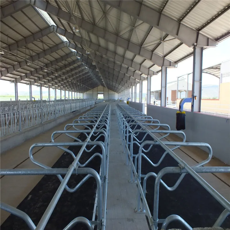 Китай низкая стоимость стальная конструкция молочная ферма для