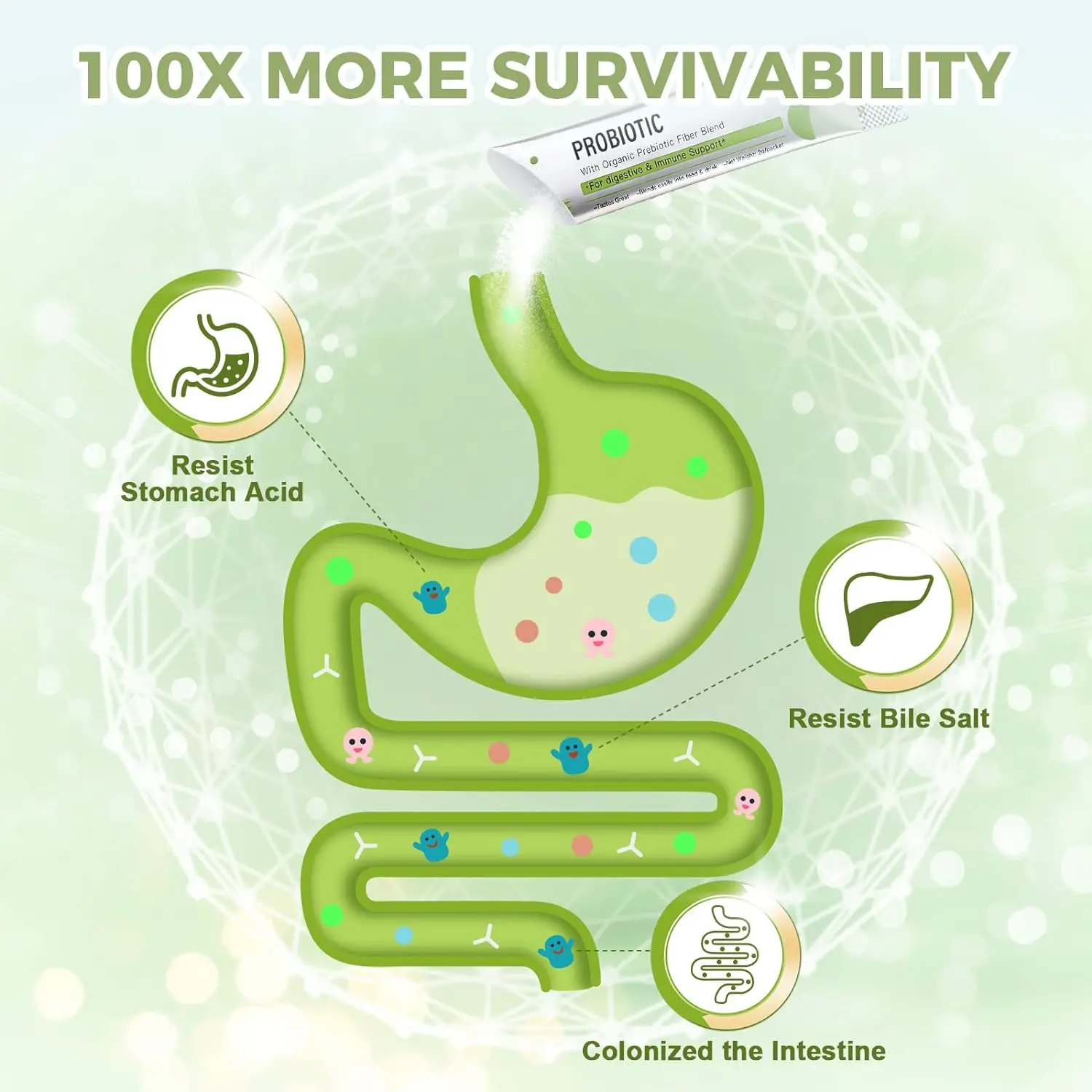 Organic Prebiotic Fiber Blend With Probiotics Powder for Boost Immunity Balance Gut Flora Detox & Cleanse Probiotic Powder