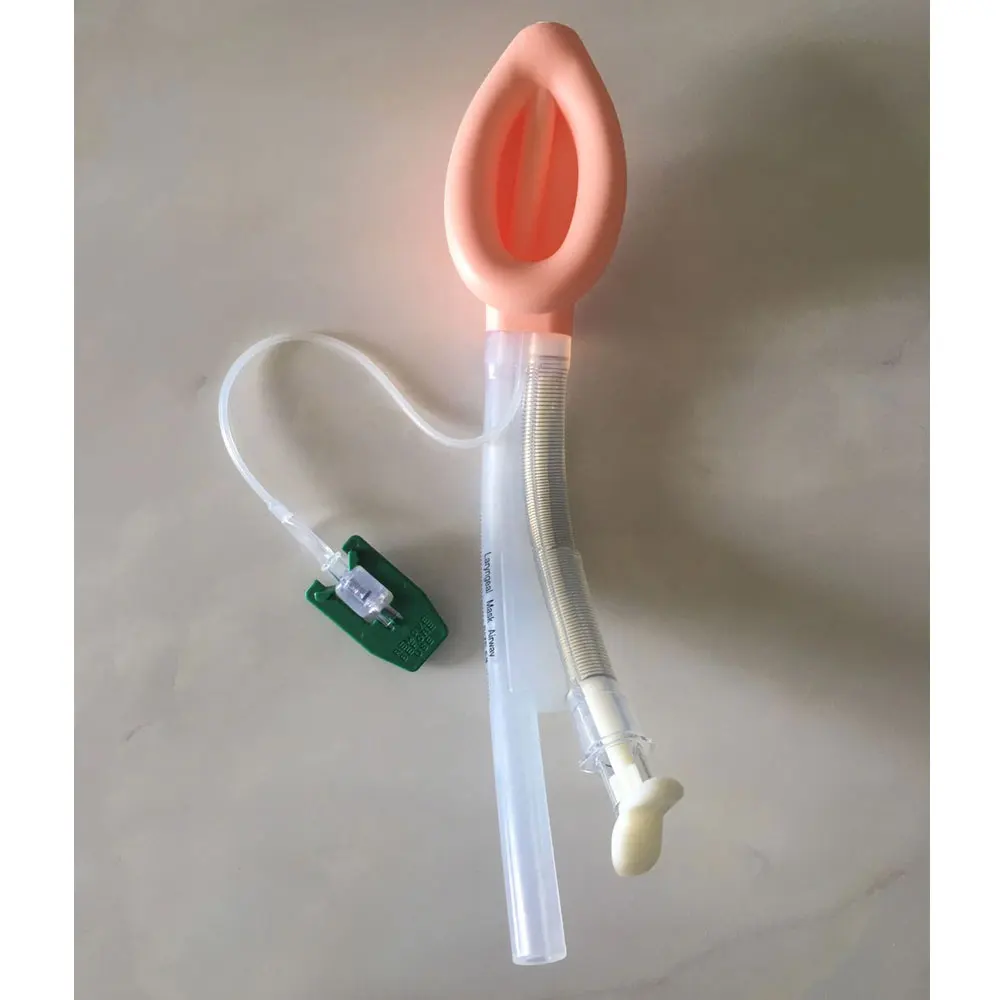
Disposable double lumen laryngeal mask airway and silicone lma for anesthesia 