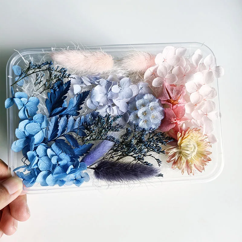 
Wholesale Cheap DIY High Quality Natural Dried Pressed Flower Mix for Handicraft Nail Decoration 