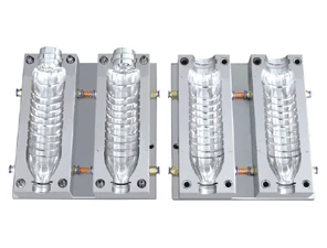 pet blow bottle mold