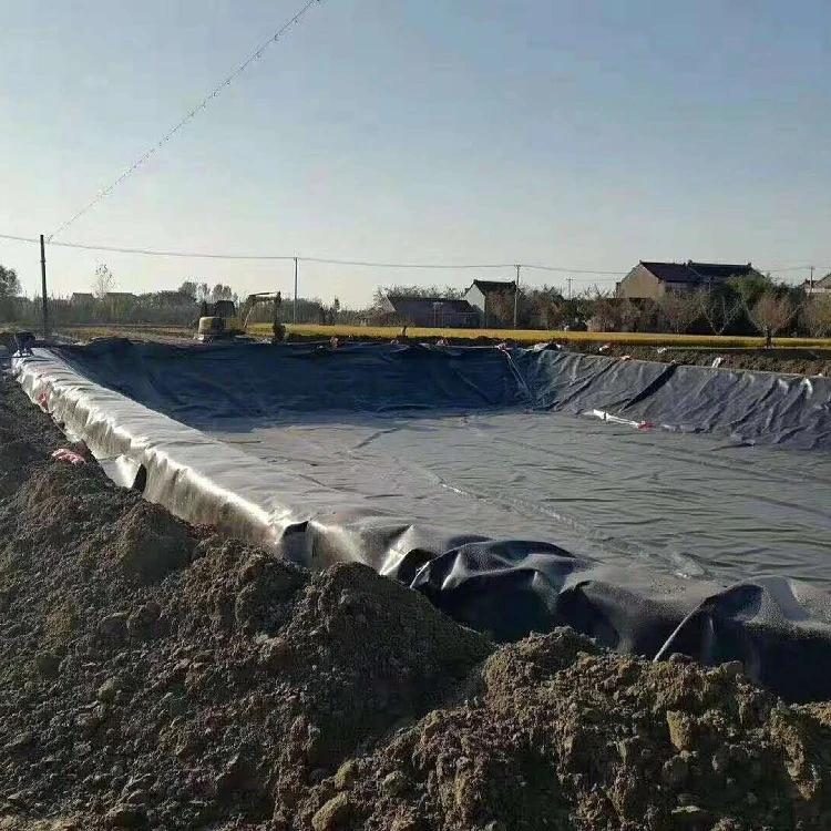 20 мил 30 мил Водонепроницаемый HDPE геомембрана для выращивания растений и прудов