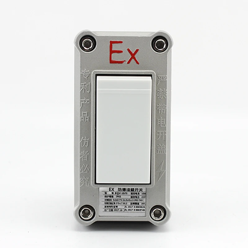 220V 10A One Two Three Switch Aluminum Alloy Box Single-control Double-control Explosion-proof Switch Wall Switch Lighting
