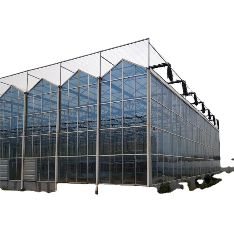 Smart agricultural multi span greenhouse vegetables planting glass green house easily installed