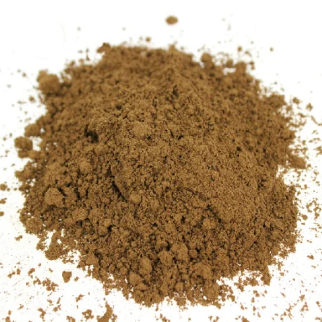 
Ganoderma Lucidum Mocha Coffee 