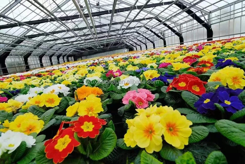 Large Complete Greenhouse Assembly Kit with Medical Plant Growth Lamp Light Deprivation Equipment Agriculture Hemp Vegetables