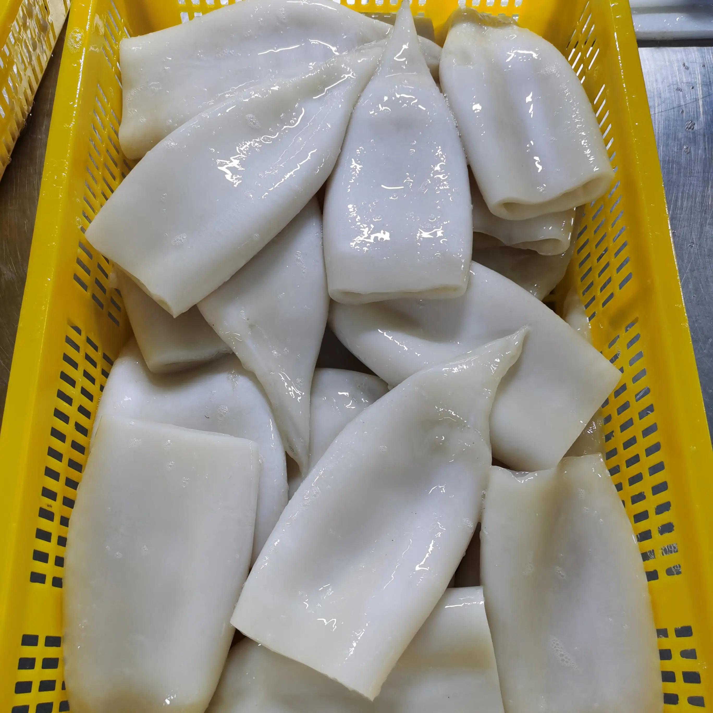 
Squid Tube Ring Frozen Squid Tube Illex Gigas Tube 