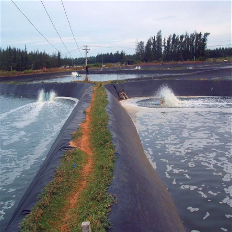 Irrigation Fish Pond Liner Price Gardens Pools PVC Membrane Reinforced Geomembrane China Factory 13 Years