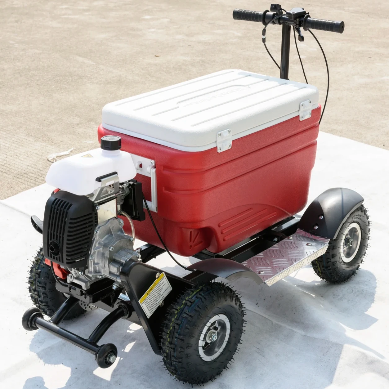 Guaranteed Quality 4 Wheels Electric Outdoor Camping Using Cooler Scooter With High Speed