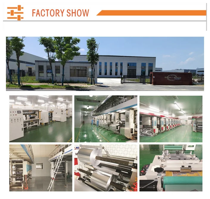 China aluminum foil alu alu PVC pharmaceutical blister packaging