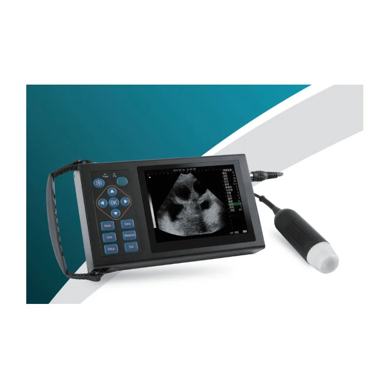 Hand-carried Veterinary Diagnostic Ultrasound Diagnostic System Equipments Full Digital Veterinary Ultrasound Scanner A10