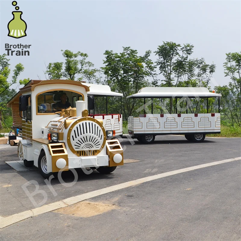 Big Capacity Zoo Train Electric Engine Amusement Park Train Trackless Electric Train With High Quality Take Passenger Tour