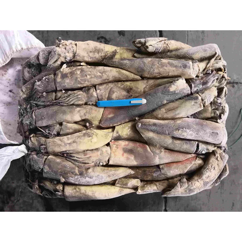 Замороженные крошечные экваториальные кальмары лучшего качества по хорошей цене