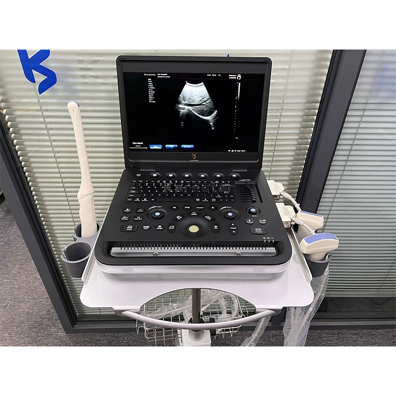 K-H101W Portable color pet CW PW ultrasound machine for animal hospital VET portable ultrasound