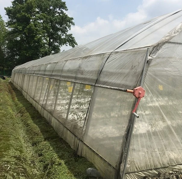 GT Hot selling agrofilm aquaponics system for fish and vegetable