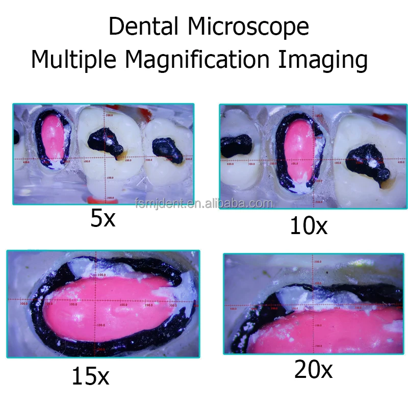 microscope with camera 5