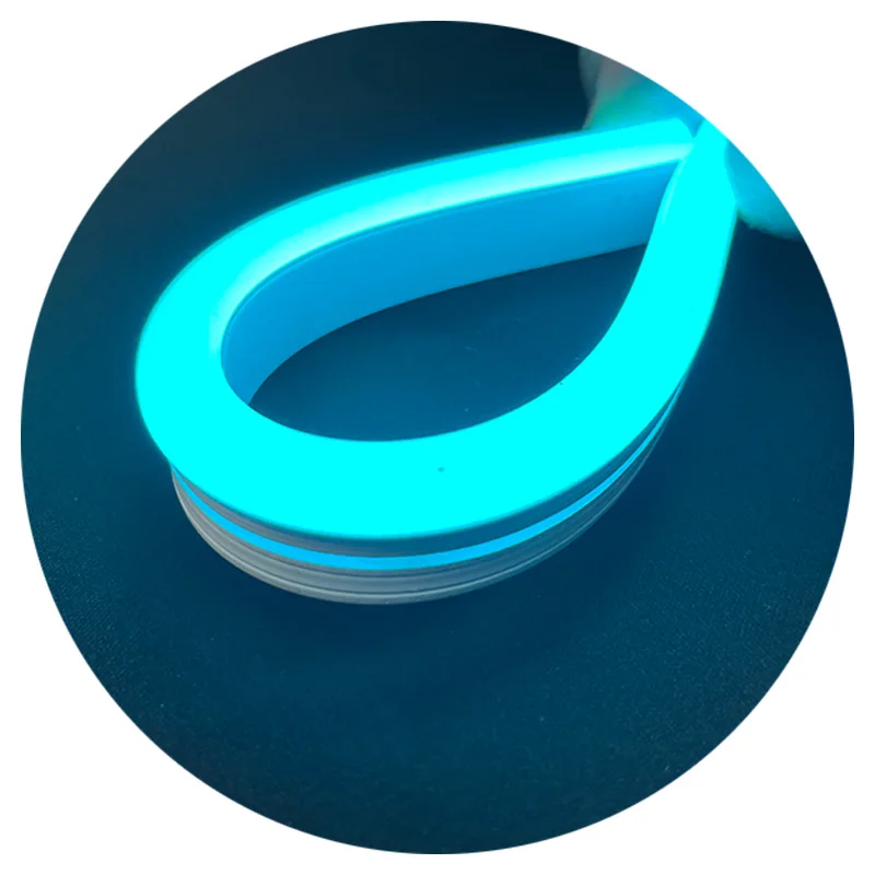 6mm 8mm 10mm DC12V DC24V silicone luce pixel rgb mars lake blue color neon flex led strip light for custom logo led neon sign