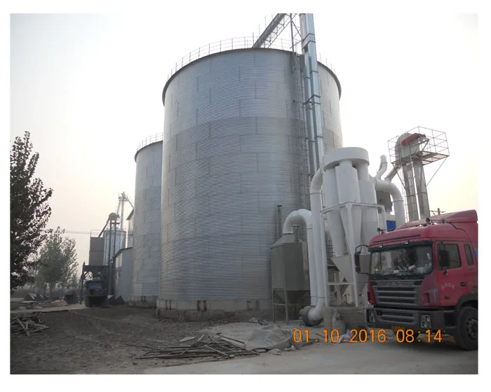 200 Ton Sorghum Grain Silo 500Ton 1000Ton 200Ton 5000Ton Grain Silo Price Chicken Feed Silo