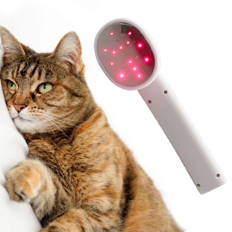 Dog Horse Use Effective 808nm 650nm Electronic Medical Rehabilitation Device