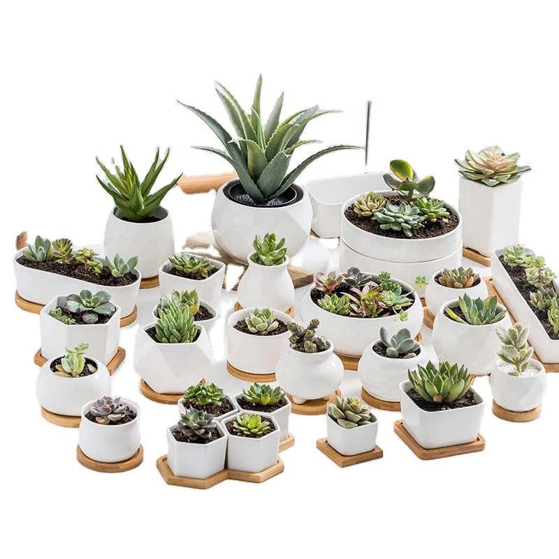 Multi Designs White Decorations For Home Decorative Pot Planter Garden Succulent Plants Ceramics Pot With Bamboo Tray