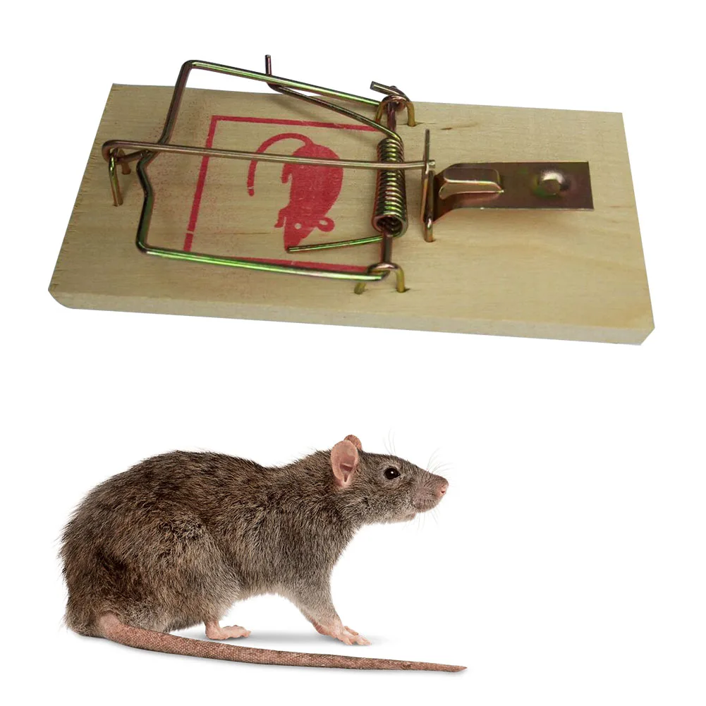 Wooden Kill Rat Mouse Mice Snap Trap Humane Reusable Wooden Mouse Rat Snap Catcher Trap