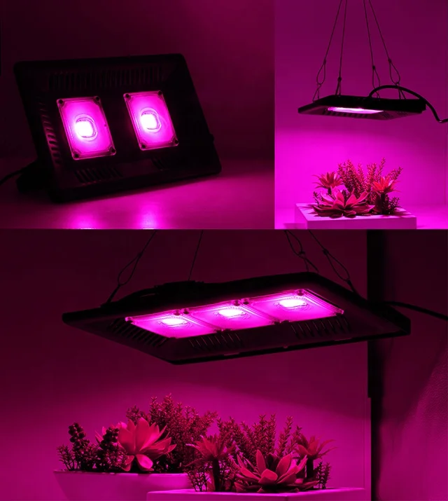 Professional Agricultural Grow Lamp IP65 Greenhouse farming grow lights diy indoor Hydroponic farming grow led light 100W