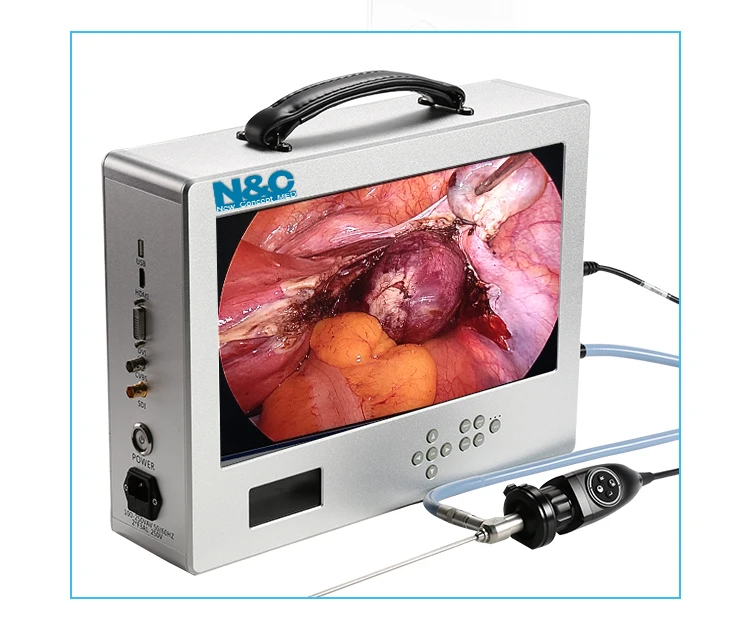 USB Playback Endoscope Camera with Integrated System