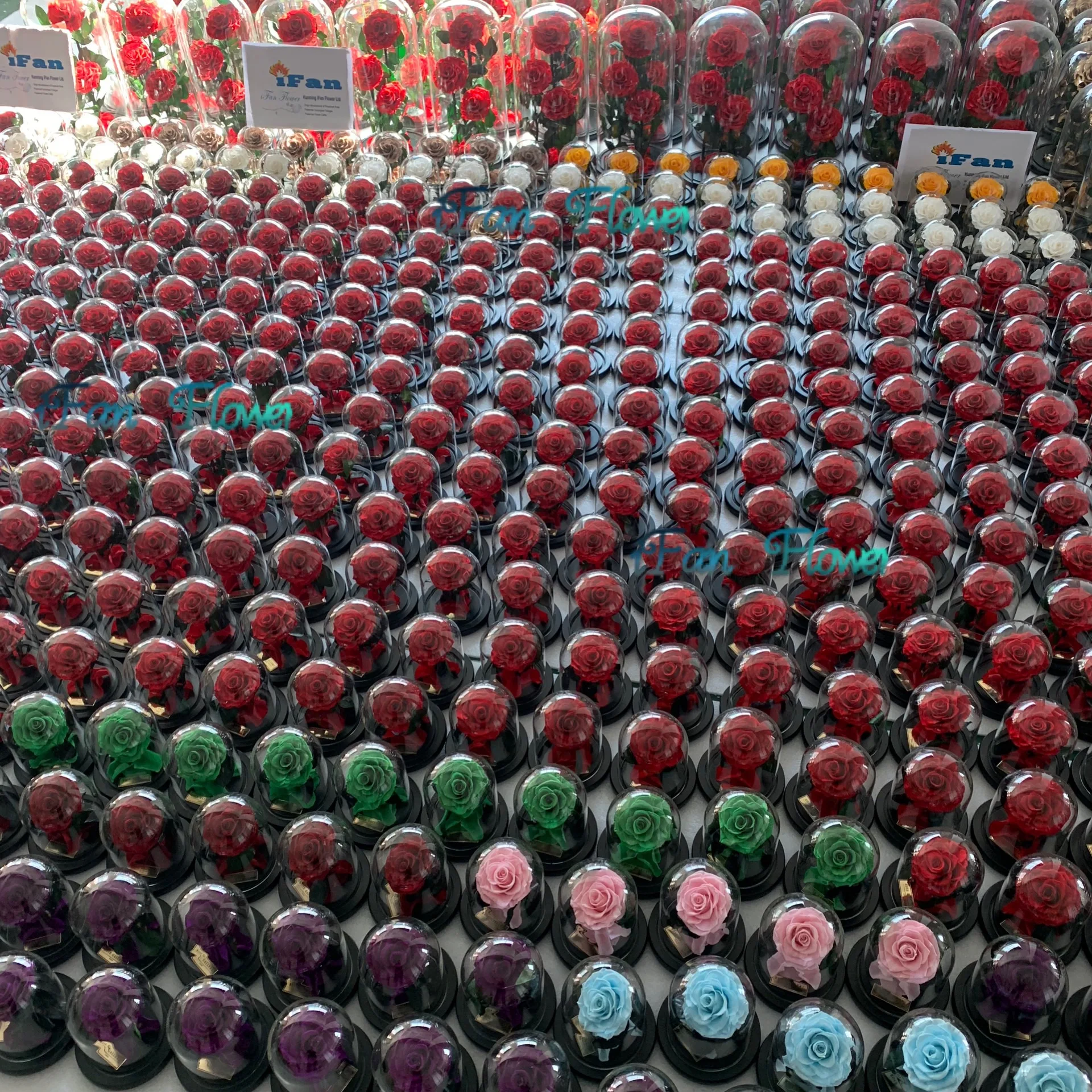 wholesale preserved roses flower in glass dome for national holiday gift fresh cut rose flower