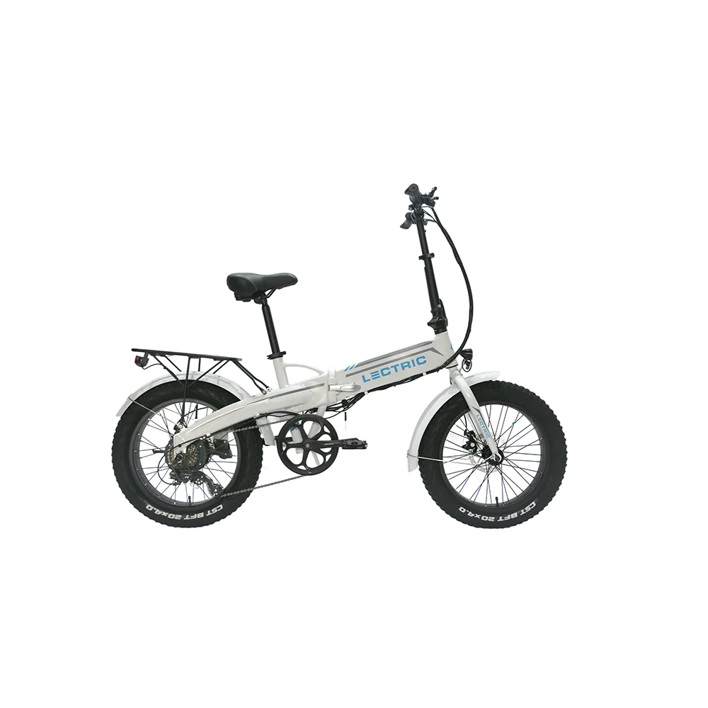 New Arrival Electric Bicycle Mini Folding E Bike Snow Bike Fat Tire 350W Brushless Motor