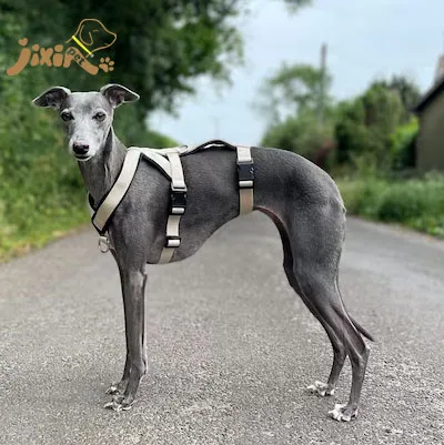 2024 Jixin Pet Nylon Belt Fleece Padding No Pull Custom Color Pet Dog Harness