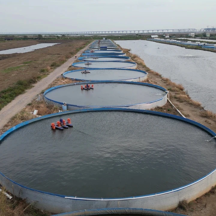 Аквариум для аквакультуры, оцинкованный листовой гофрированный резервуар для аквакультуры высокой плотности, дешево, оптовая продажа