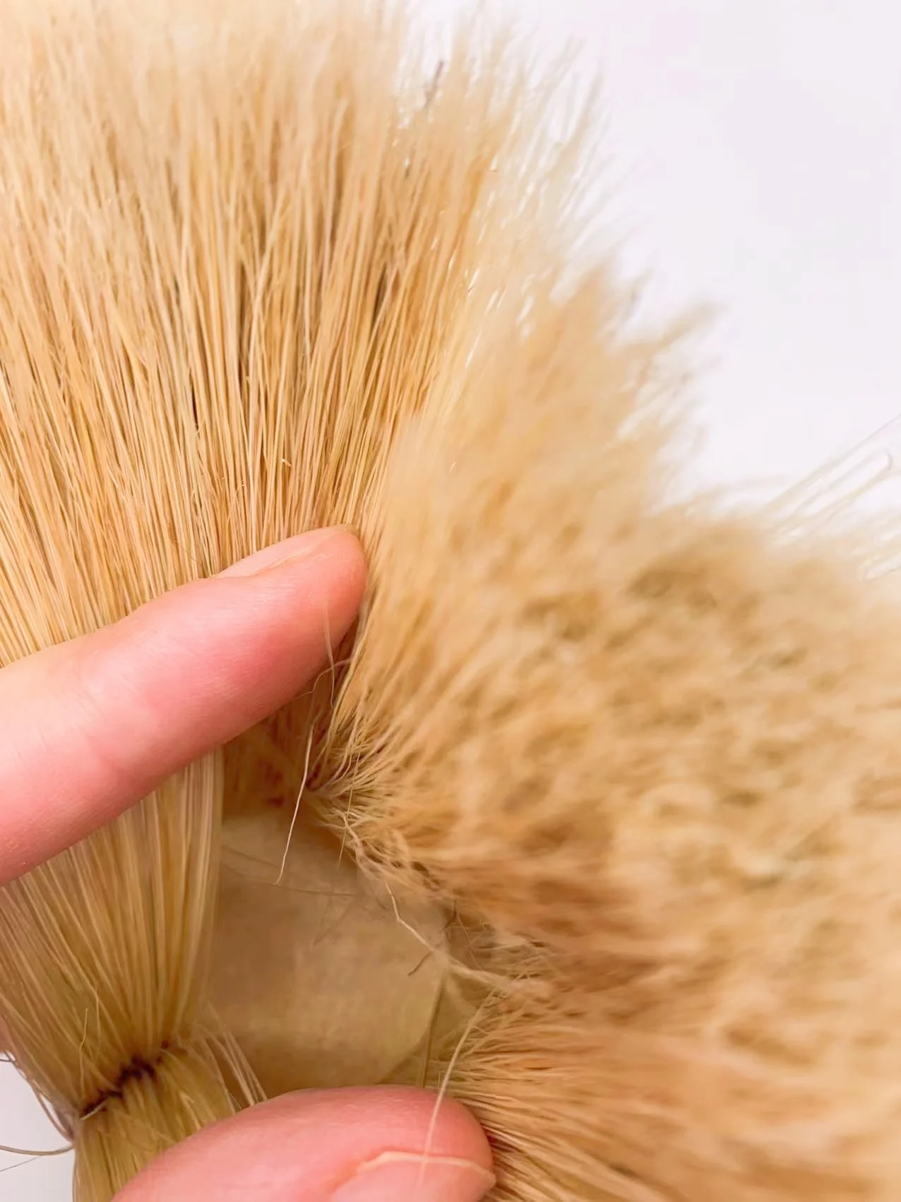 Striker brush head in pure bristle with nut and bolt