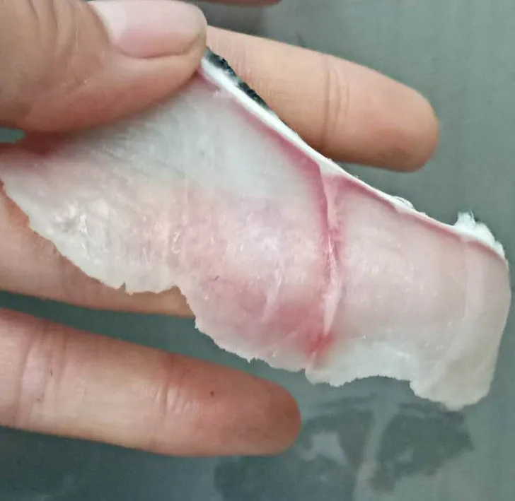 Automatic Fish Fillet Machine Fish Meat Slicing Machine Fish Cutter