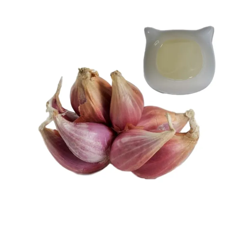 Bulk 100% Pure  Natural Manufacturer, Wholesale Organic Red Onion Oil