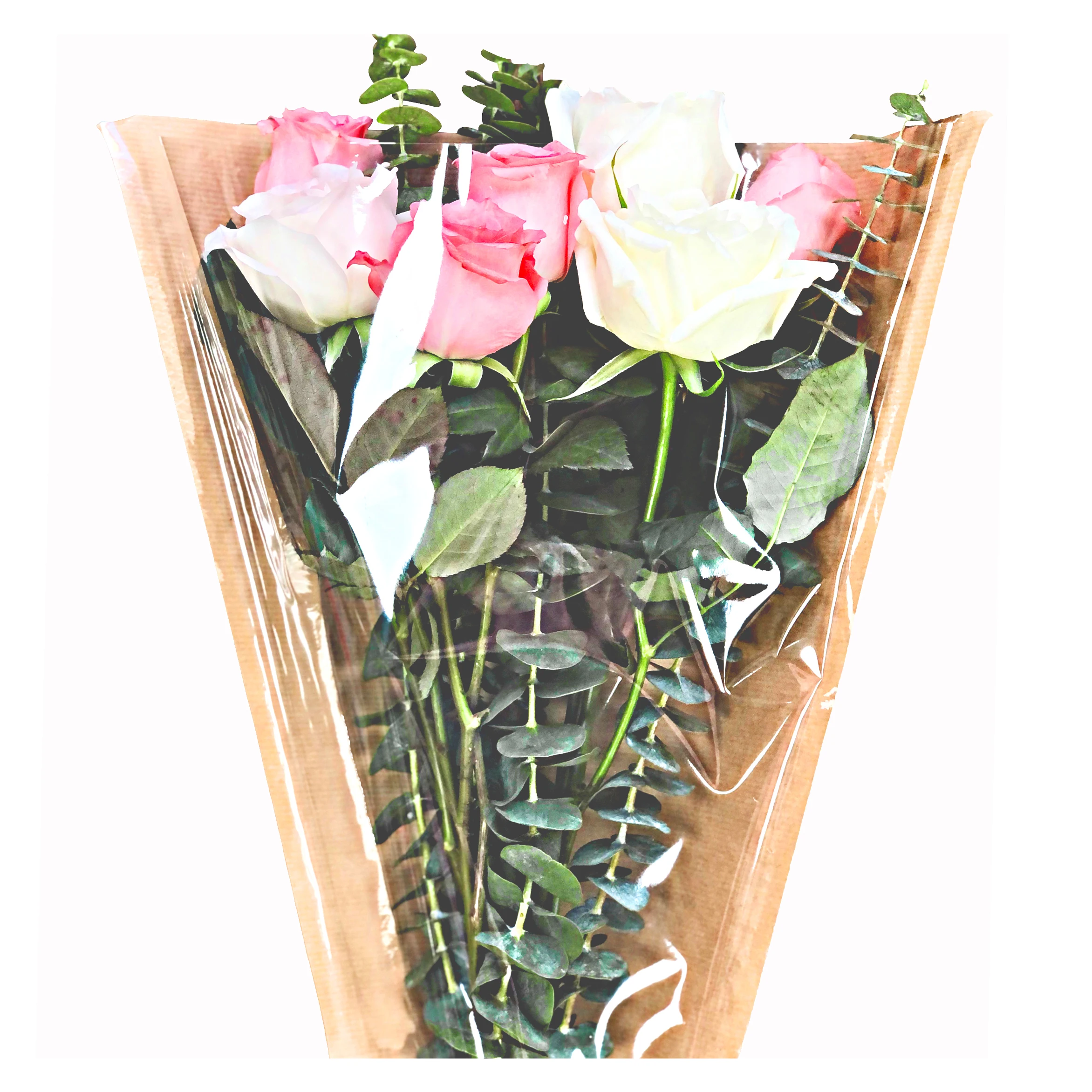 Bopp + Kraft Paper Sleeve Y Shape Sleeve Fresh Flower Herb Plant Produce Wrapping Sleeve