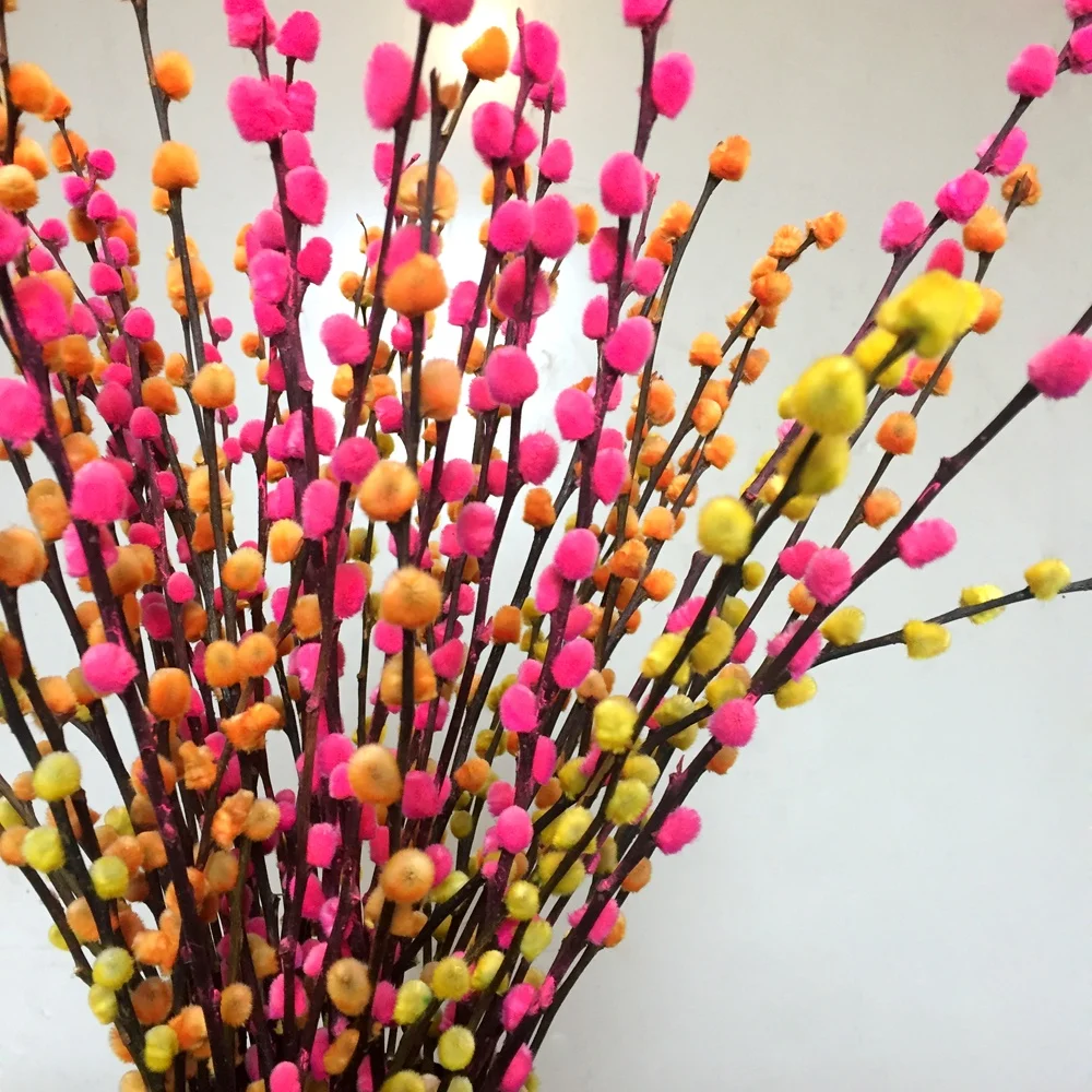High quality fresh cut flower pussy willow salix for home decoration cut flower exporters