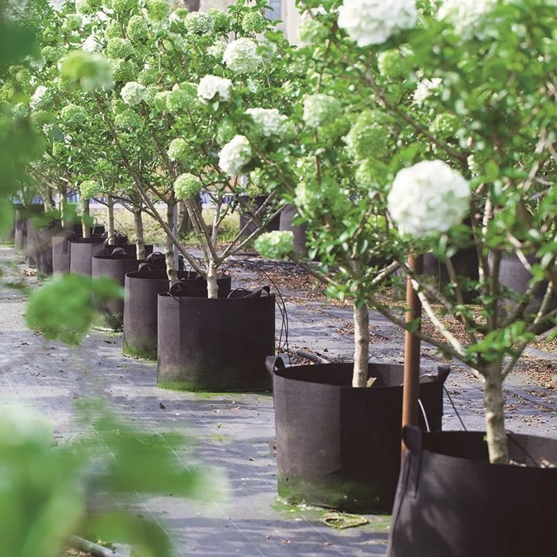 Heavy Duty Eco Friendly Black 25 Litre 500 Gallons Colored Strawberry Outdoor Vegetable Plant Bag Grow Bags For Plants