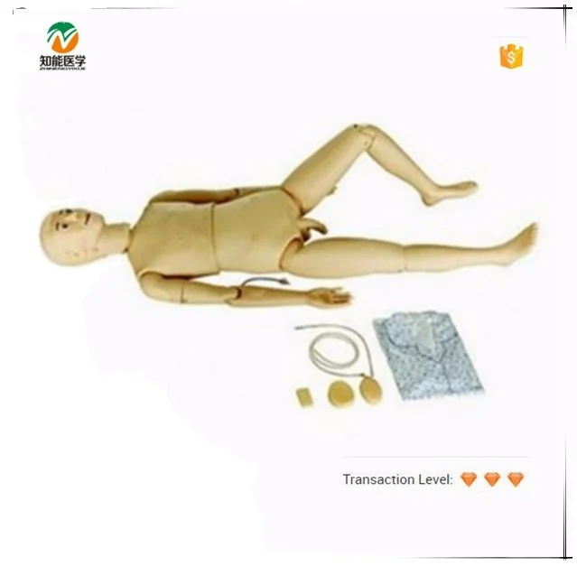 Medical science basic male nursing training mannequin for Disease Demonstration Medical Teaching Tool
