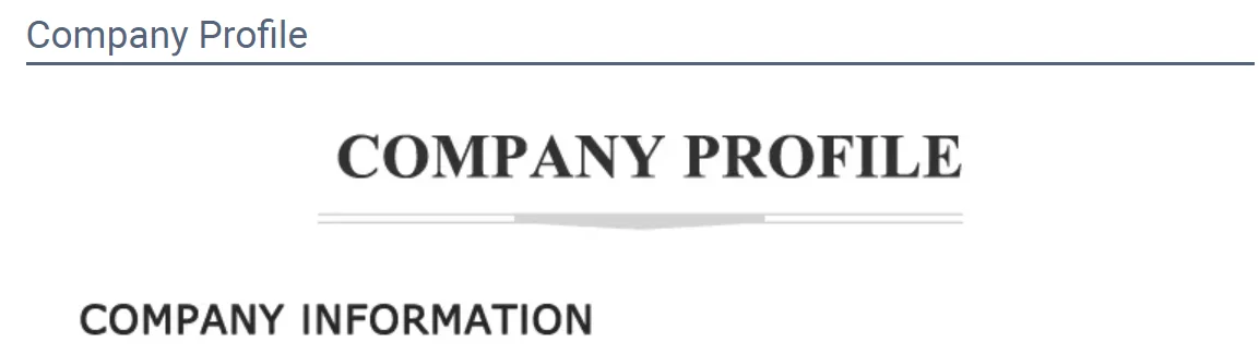 company profile.png