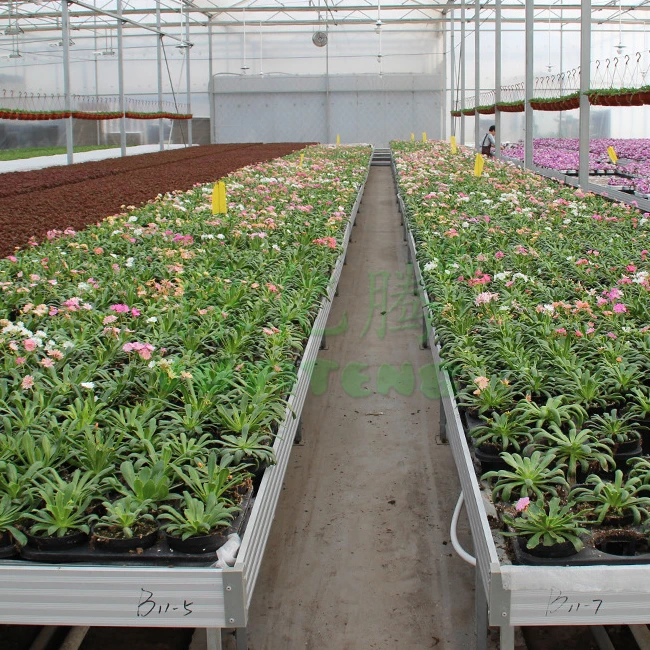 Large Multi-Layer Vertical Hydroponic Grow System Steel Farm Rack for Greenhouse Agriculture