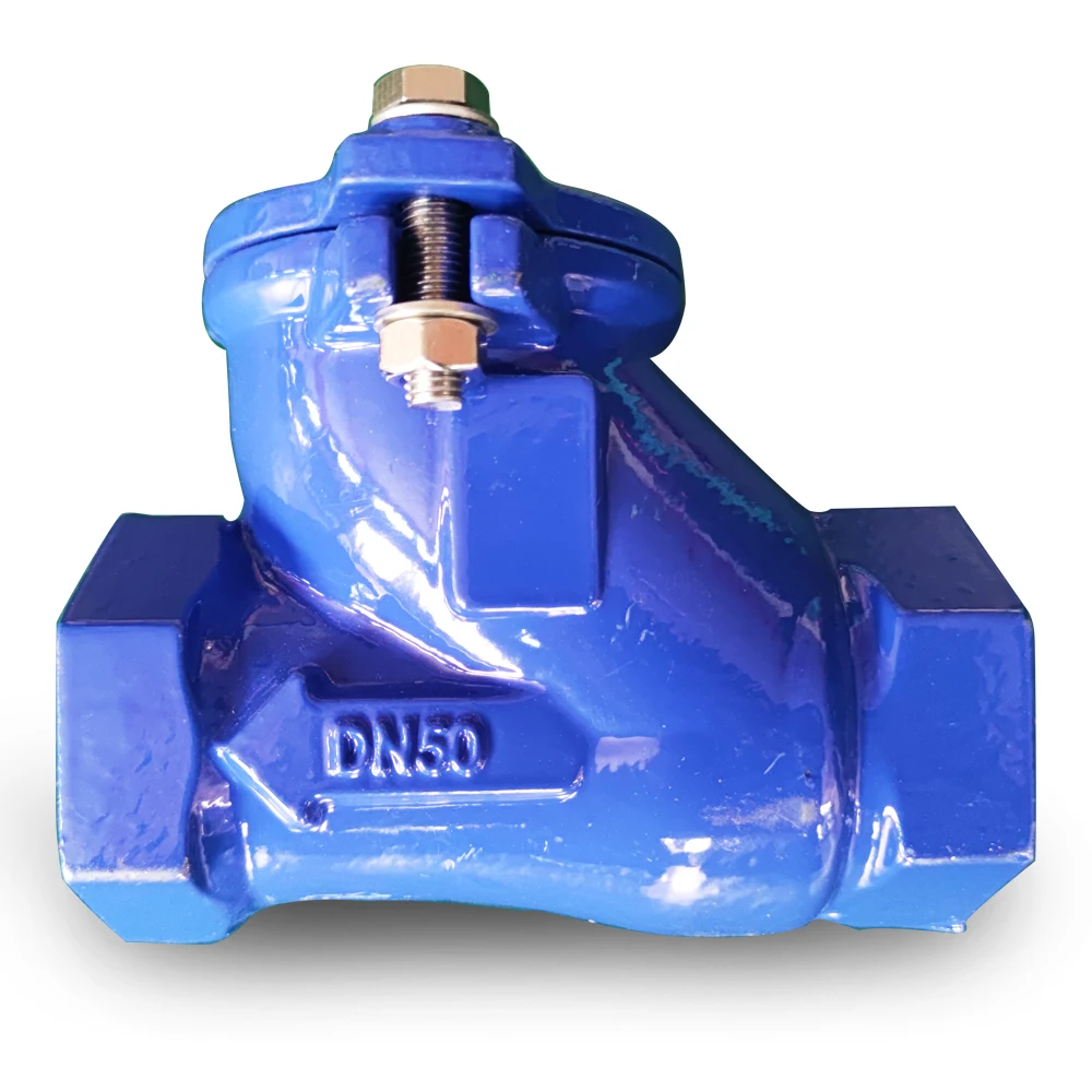 Customize Ductile Iron  type PN10 Pn16 Ball Type  non return Valve