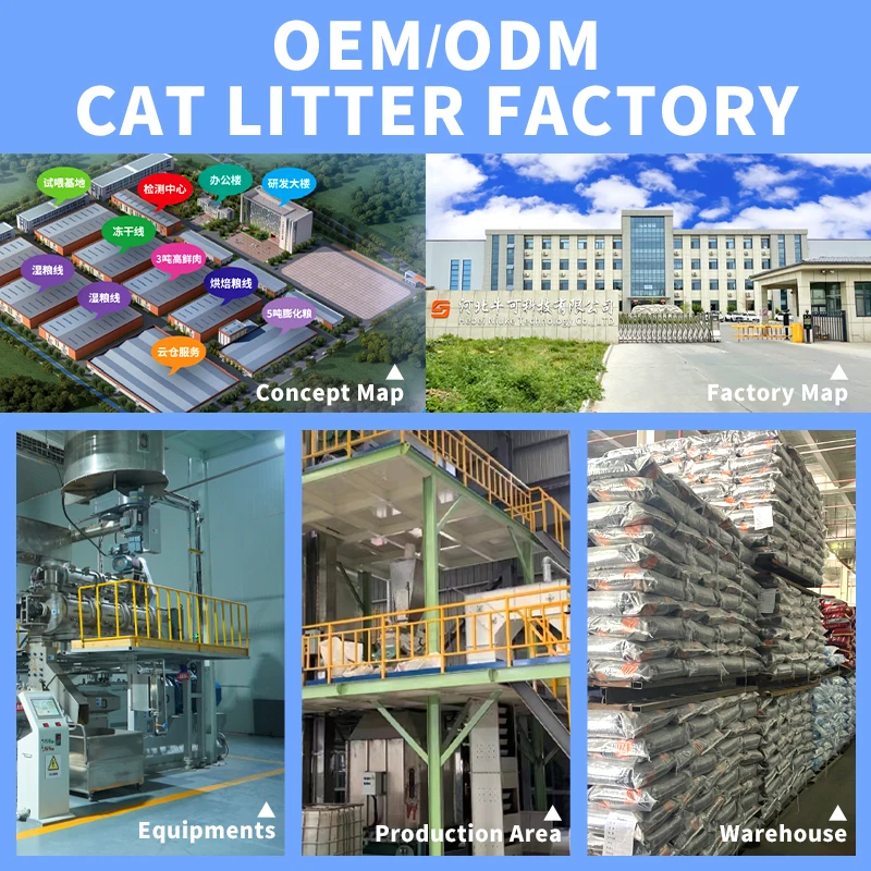 Multiple scent bean curd cat sand litter biodegradable dust free clumping flushable tofu Cat sand